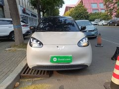 Wuling Binguo 333km Joy Edition - ფოტო 3