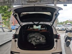BYD Yuan Plus DM-i Champion Edition 112KM Deluxe - ფოტო 15