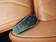 BYD Yuan Plus DM-i Champion Edition 112KM Deluxe - ფოტო 17