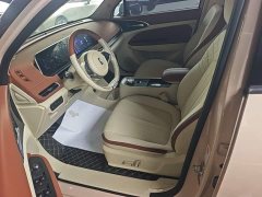 ORA Good Cat Morandi Edition 400km Standard Range Luxury Trim LFP - ფოტო 11