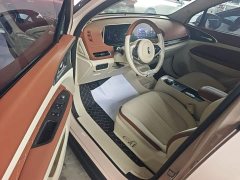 ORA Good Cat Morandi Edition 400km Standard Range Luxury Trim LFP - ფოტო 12