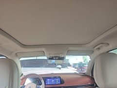 ORA Good Cat Morandi Edition 400km Standard Range Luxury Trim LFP - ფოტო 14