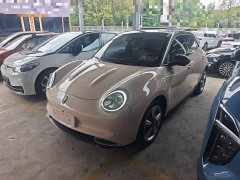 ORA Good Cat Morandi Edition 400km Standard Range Luxury Trim LFP - ფოტო 2