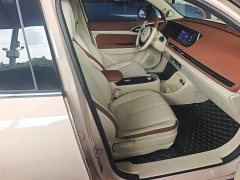 ORA Good Cat Morandi Edition 400km Standard Range Luxury Trim LFP - ფოტო 20