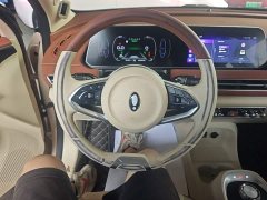 ORA Good Cat Morandi Edition 400km Standard Range Luxury Trim LFP - ფოტო 7