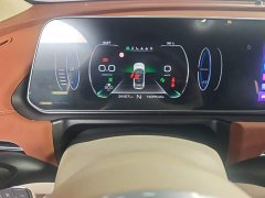 ORA Good Cat Morandi Edition 400km Standard Range Luxury Trim LFP - ფოტო 8