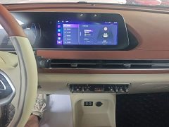 ORA Good Cat Morandi Edition 400km Standard Range Luxury Trim LFP - ფოტო 9