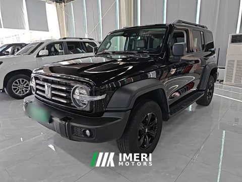 2024 Tank 300 2.0T Conqueror - ავტომობილი ჩინეთიდან