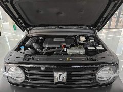 Tank 300 2.0T Conqueror - ფოტო 16
