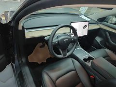Tesla Model 3 Standard Range RWD Upgrade 3D6 - ფოტო 10