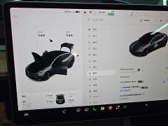 Tesla Model 3 Standard Range RWD Upgrade 3D6 - ფოტო 12