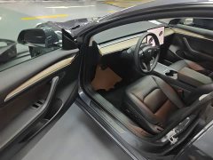 Tesla Model 3 Standard Range RWD Upgrade 3D6 - ფოტო 16