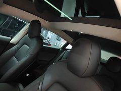 Tesla Model 3 Standard Range RWD Upgrade 3D6 - ფოტო 18