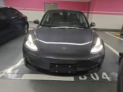 Tesla Model 3 Standard Range RWD Upgrade 3D6 - ფოტო 3