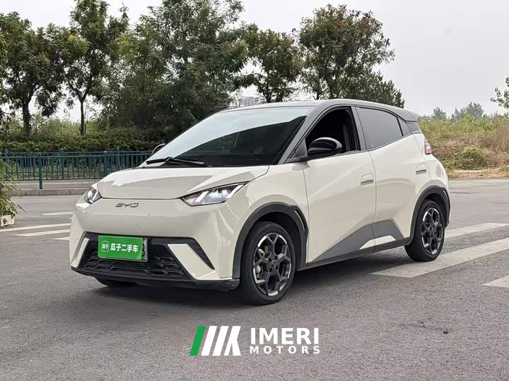 BYD Seagull 2025 405km Flying Edition - ავტომობილი ჩინეთიდან