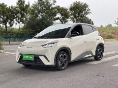 BYD Seagull 2025 405km Flying Edition - ფოტო 1
