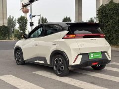 BYD Seagull 2025 405km Flying Edition - ფოტო 5