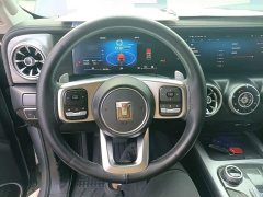 Tank 300 2021 Off-Road Edition 2.0T Conqueror - ფოტო 11
