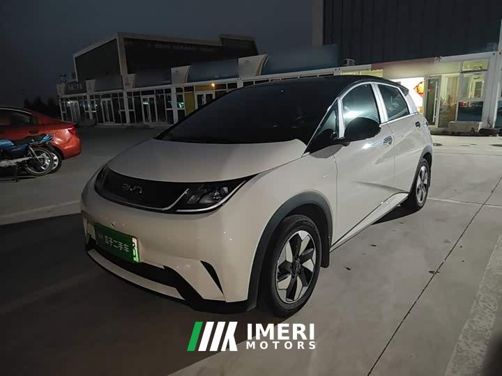BYD Dolphin 2025 420km Freedom Edition