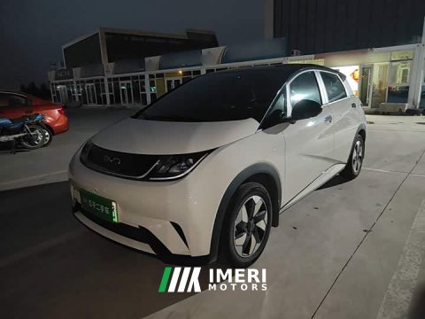 2026 BYD Dolphin 2025 420km Freedom Edition - ავტომობილი ჩინეთიდან