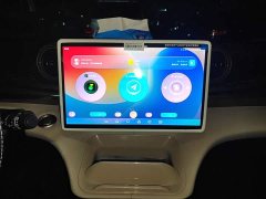 BYD Dolphin 2025 420km Freedom Edition - ფოტო 13