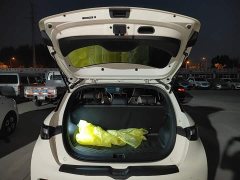 BYD Dolphin 2025 420km Freedom Edition - ფოტო 19