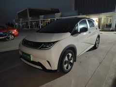BYD Dolphin 2025 420km Freedom Edition - ფოტო 2