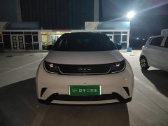 BYD Dolphin 2025 420km Freedom Edition - ფოტო 3