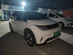 BYD Dolphin 2025 420km Freedom Edition - ფოტო 4