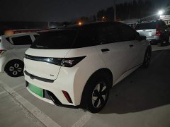 BYD Dolphin 2025 420km Freedom Edition - ფოტო 7