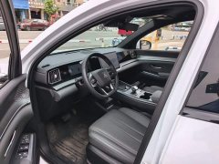 BYD Song Pro New Energy 2nd Generation Smart Driving DM-i 75KM Leading Edition - ფოტო 16