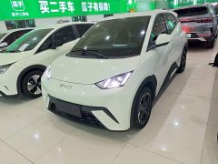 BYD Seagull Flying Edition - ფოტო 1
