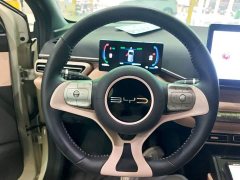 BYD Seagull Flying Edition - ფოტო 11