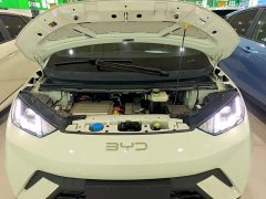 BYD Seagull Flying Edition - ფოტო 20