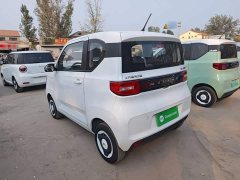 Wuling Hongguang MINIEV 2022 Easy Edition LFP Battery - ფოტო 5