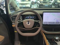 Denza D9 2022 DM-i 970 AWD Flagship - ფოტო 11