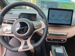 BYD Seagull Glory Edition 305km Freedom Version - ფოტო 10