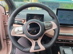 BYD Seagull Glory Edition 305km Freedom Version - ფოტო 11