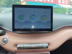 BYD Seagull Glory Edition 305km Freedom Version - ფოტო 13