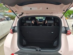 BYD Seagull Glory Edition 305km Freedom Version - ფოტო 19