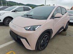 BYD Seagull Glory Edition 305km Freedom Version - ფოტო 2