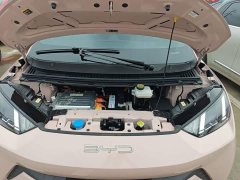 BYD Seagull Glory Edition 305km Freedom Version - ფოტო 20