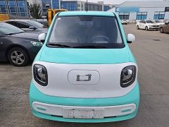 FAW Besturn Xiaoma 170km Yuanqi Ma - ფოტო 3