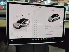 Tesla Model 3 2022 Rear-Wheel Drive - ფოტო 12