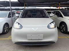 Wuling Binguo 333km Joy Edition - ფოტო 3