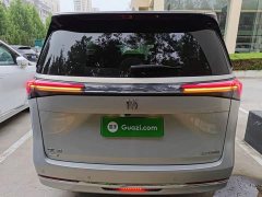 Buick GL8 New Energy Lusang Respect Edition - ფოტო 4