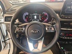 Kia Sportage 2019 2.0L Automatic Smart Luxury Edition - ფოტო 11
