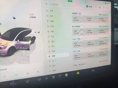 Tesla Model Y Rear-Wheel Drive - ფოტო 12