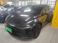 Tesla Model Y Rear-Wheel Drive - ფოტო 2