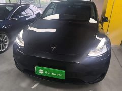 Tesla Model Y Rear-Wheel Drive - ფოტო 3
